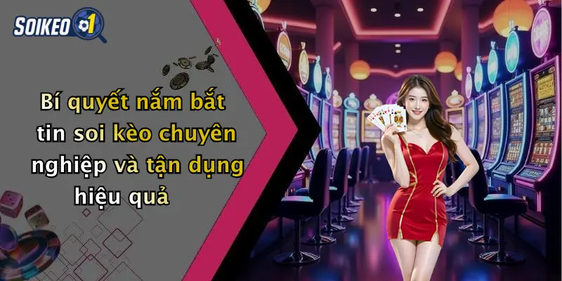 Bí quyết nắm bắt tin soi kèo chuyên nghiệp và tận dụng hiệu quả